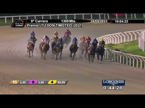 230924 c09 KODIAK DANCER