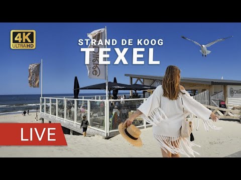 Den Helder - Ferry Port live cam
