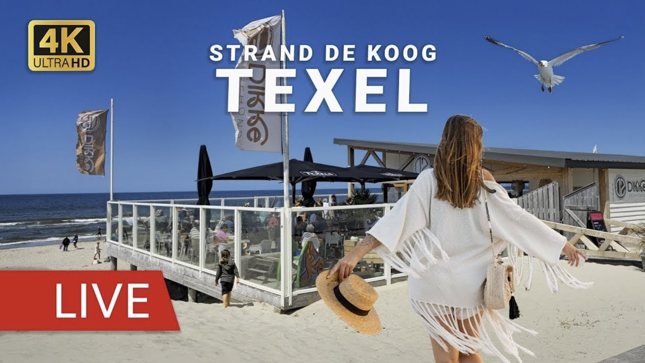 Live webcam view of Playa de De Koog, Mar del Norte