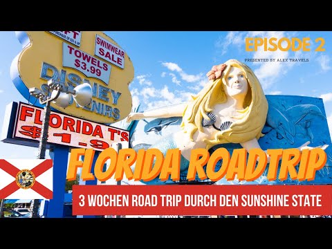 Florida Rundreise 💥 Gift Shops bei Walt Disney World & in die Universal Studios Orlando | Episode 2