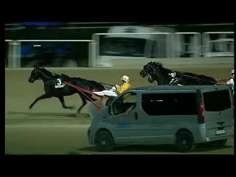 Napoli Trotto 23/07/2022 - 4ª corsa