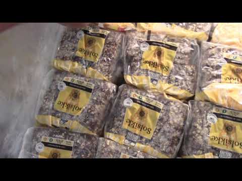 MongoTV_2906 - Del 2 - STATUS PÅ MAD TIL 100 DAGE