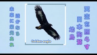 天空へ舞い上がる,新たな支配者の誕生か Is this the birth of a new ruler who will soar into the heavens?