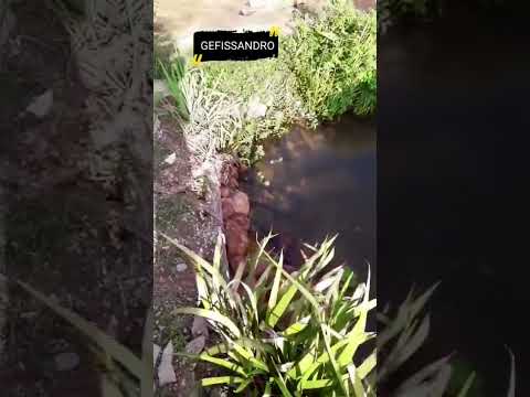 lago de lona ESMERALDAS Minas Gerais uai