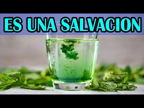 La CLOROFILA Te SALVA en la DIABETES TIPO 2