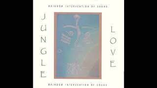 Rainbow Intervention of Sound - Journey Into the Night (Vocal Mix) (Pitch -8)