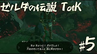 【ゼルダの伝説 ティアーズオブザキングダム】突き落としてあげようか　【５】