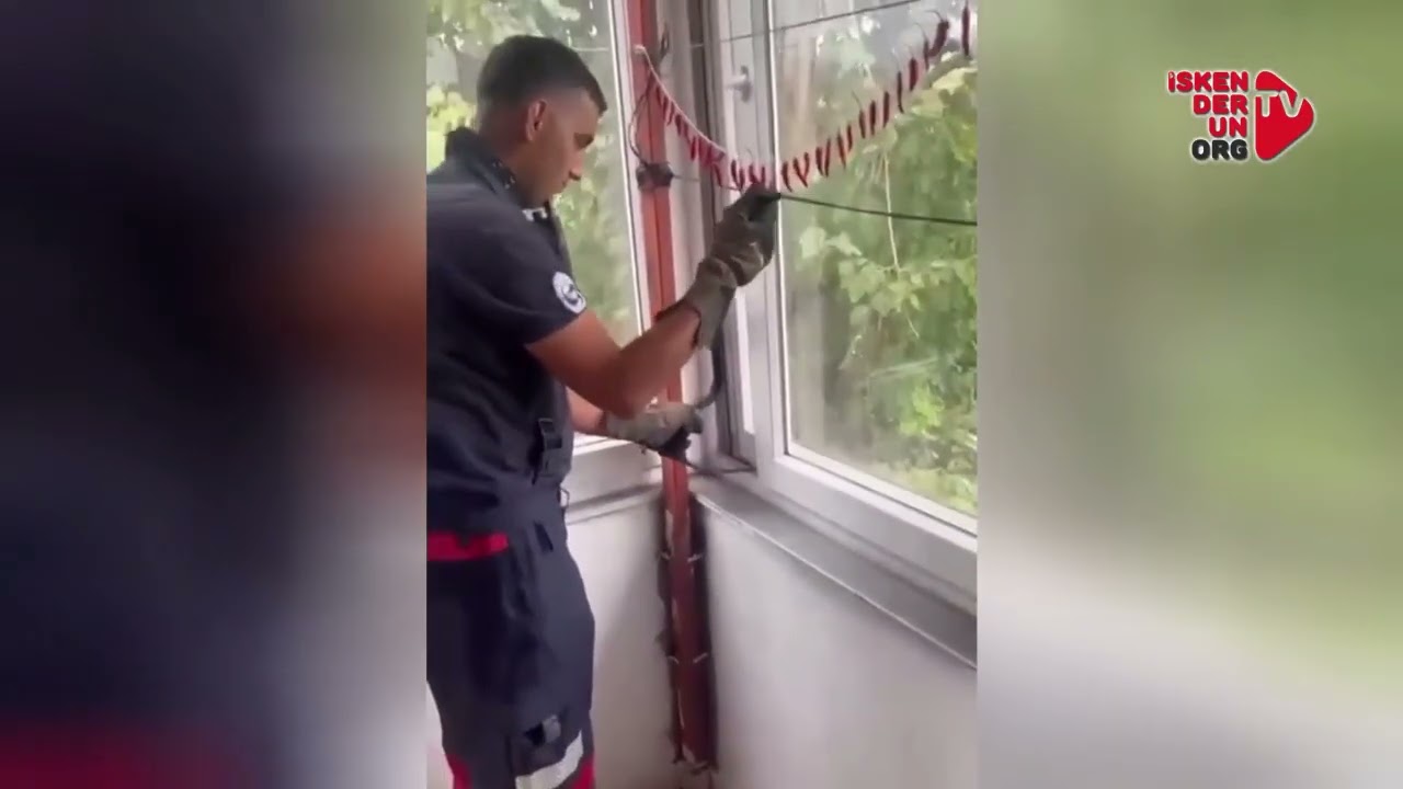 Dörtyol’da İtfaiye Ekiplerinin Yılan Mesaisi…