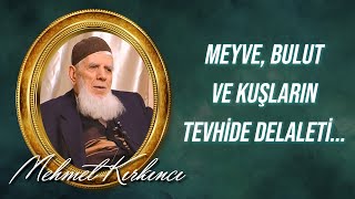 Mehmed Kırkıncı - Işık, Irmak, Taş, Cevher, Çiçek, Meyve, Bulut ve Kuşlar