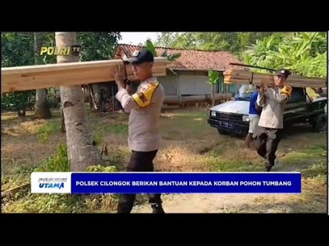BANTUAN UNTUK KORBAN POHON TUMBANG