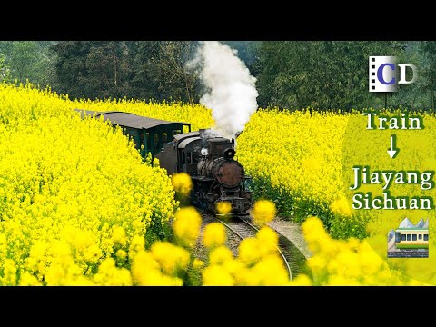 The last steam train in operation in the world, probably | China Documentary