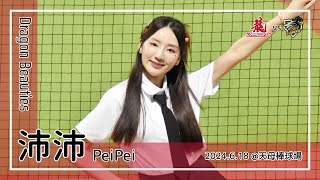 【台湾チア】沛沛 PeiPei | DragonBeauties小龍女 | 李凱威,郭天信,吉力吉撈・鞏冠 應援曲 [中文歌詞]