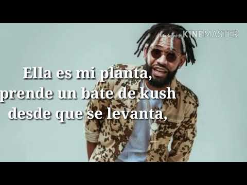 "Mi planta" 🚫Ñengo Flow❌El Yman(Letra)