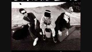Beastie Boys- Time For Living- Check your Head