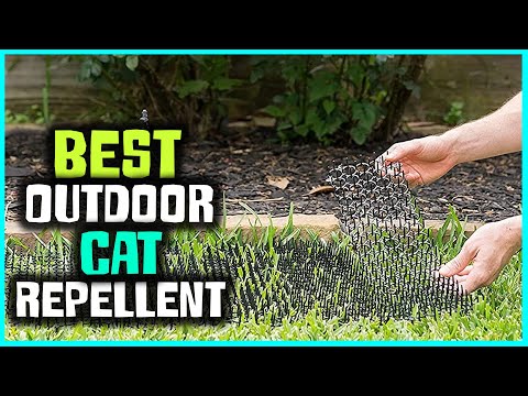 Top 6 Best Outdoor Cat Repellents Review for Yard/Garden [2022] - Motion Activated & Spray Repellent