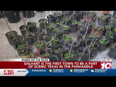 Dalhart deemed first town to be a part of Scenic Texas in the Panhandle