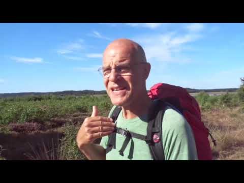 26 - Min partner er meget negativ og kritiserende