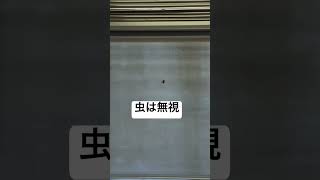 ムシキングって流行ってたよね #movie #shortvideo #shorts