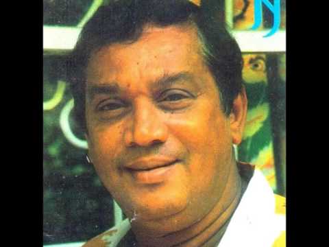 APA DEDENA - H R JOTHIPALA