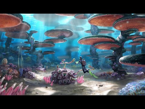 Asus ROG Ally X Subnautica