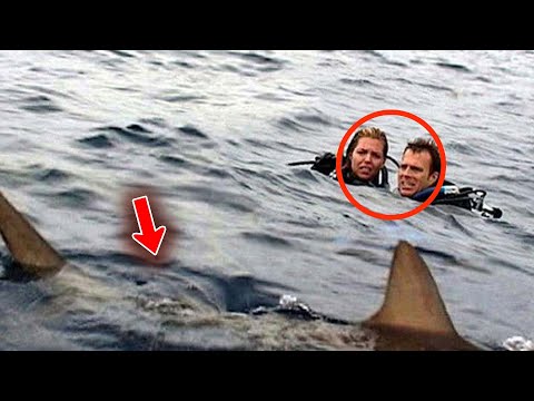 Couple CAUGHT by surprise at this AGGRESSIVE Shark Attack