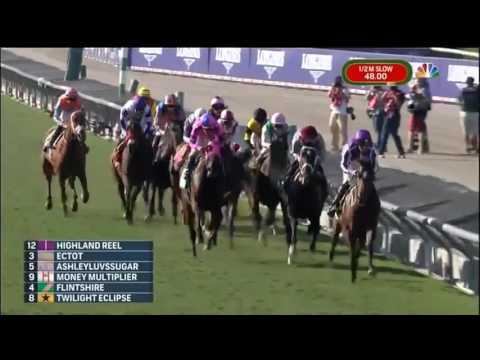 Highland Reel wins the Longines Breeders' Cup Turf under a fabulous Seamie Heffernan ride