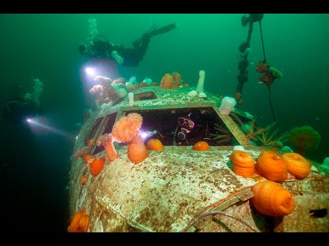 Scuba Dive on an Underwater Boeing 737 Artificial Reef