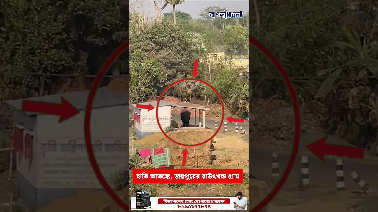 হাতি আ*ত*ঙ্কে, জয়পুরের রাউৎখন্ড গ্রাম! #ElephantAttack #Jaipur #Rautkhand #banglahunt