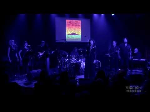 The Wilds - 40 Million Salmon Can't Be Wrong - Live at Blue Frog Studios