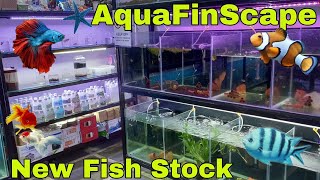 Best Quality New Fish Stock | AquaFinScape