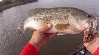 preview picture of video 'Iowa Bass Fishing at Green Valley Lake'