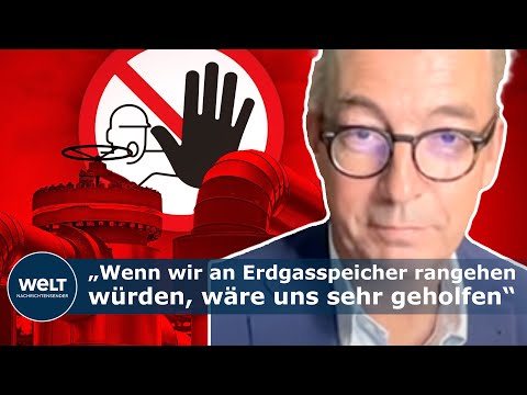 FLEISCHHAUER ZUM GASNOTSTAND: „Entweder frieren oder alles ausprobieren, was wir schrecklich finden“