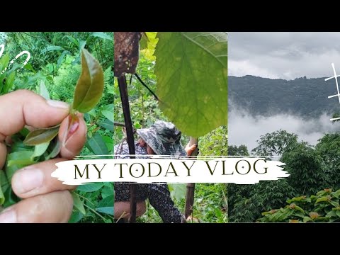 aju chai ghar ko kam gareko kehi video