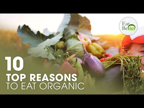 Top 10 Reasons to Eat Organic | Eat Better