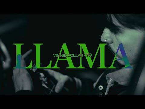 Vinnie Dollar , Y9 - LLAMA