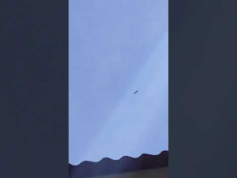 A Rare Sight of Eagles