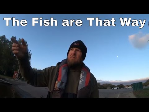 download lagu mp3 mp4 Prefise, download mp3 Prefise free download, download mp3 Prefise