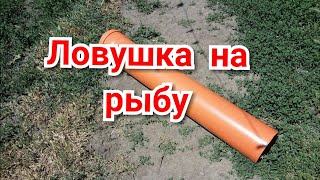 Ловушка для рыбы из трубы пластиковой