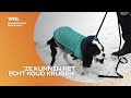Zo houd je je hond warm tijdens koude winterdagen