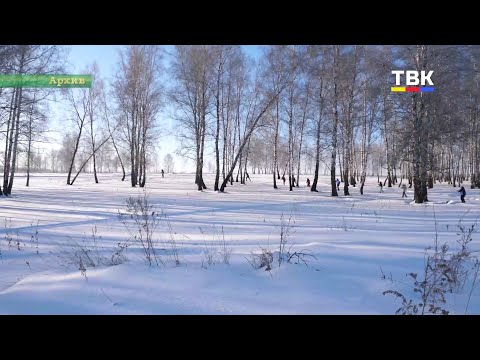 В Искитимском районе готовятся к 44-ой Всероссийской массовой лыжной гонке «Лыжня России – 2026»