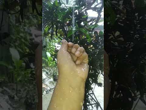 #megla #viral #viralmusic #shortvideo