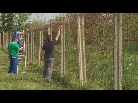 Kanizsa TV Híradó - 2018. április 24.