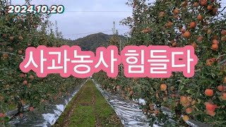 사과농사 힘들다