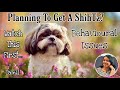 Behavioural Problems In ShihTzu & Their Solutions || Tamil || Pavi's Pawdcast