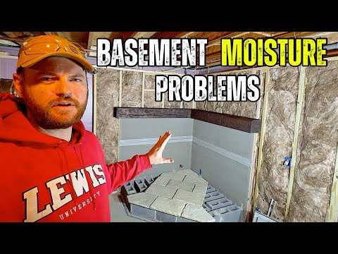 Why My Basement Walls Were Wet (And How I Fixed It)