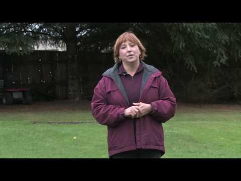 ガーデニングのヒント : 砂漠気候で草を育てる方法