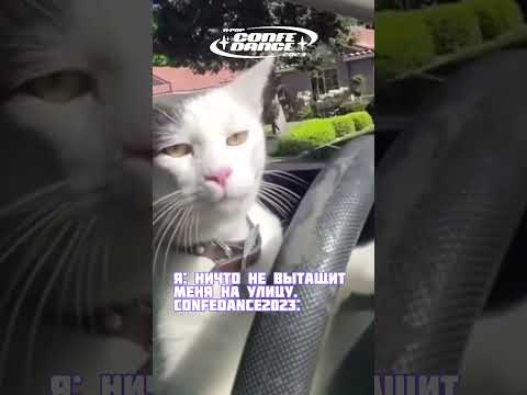 MDKM K-pop Confedance 2023