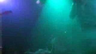 Babyshambles - Do You Know Me