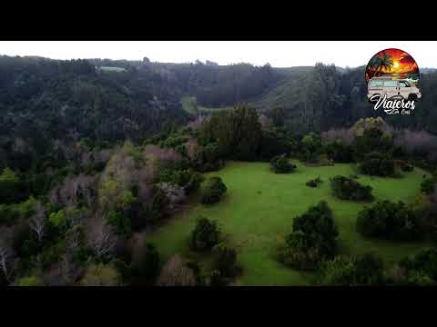 NINE - ARAUCO REGION DEL BIO BIO