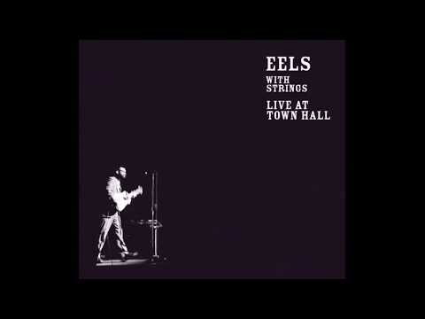 I Could Never Take the Place of Your Man - Eels